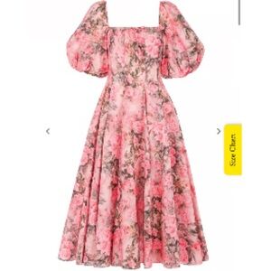 Rare Selkie The Queen Bee Day Dress